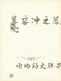 慕容冲之凤凰于飞