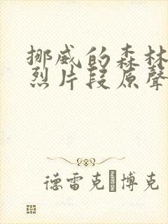 挪威的森林的激烈片段原声