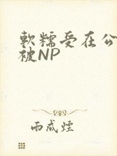 软糯受在公交车被NP