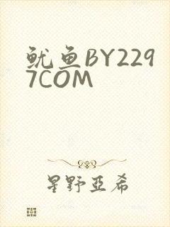 鱿鱼BY2297COM
