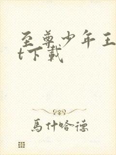 至尊少年王txt下载