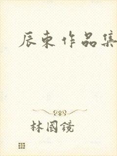 辰东作品集