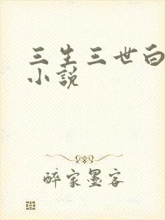 三生三世白暮泪小说
