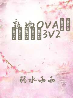 熟肉OVAちゃんはしたい3V2