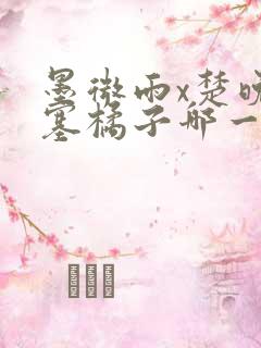 墨微雨x楚晚宁塞橘子哪一章