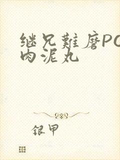 继兄难磨PO猪肉泥丸