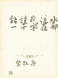 能让我流水水的一千字在哪看
