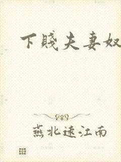 下贱夫妻奴