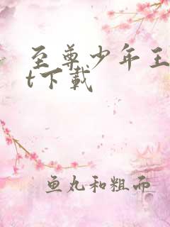 至尊少年王txt下载