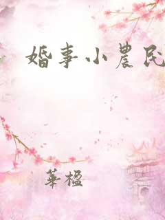 婚事小农民
