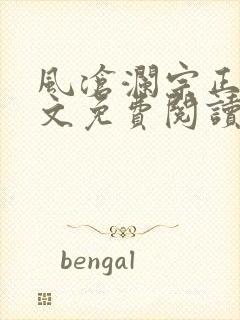 风沧澜宗正临全文免费阅读