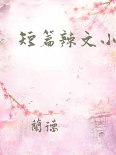 短篇辣文小说