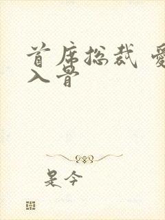 首席总裁 爱你入骨