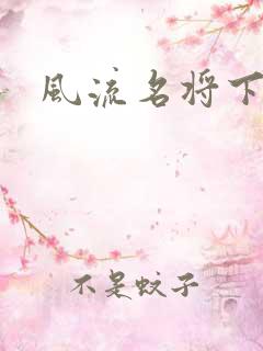 风流名将下载