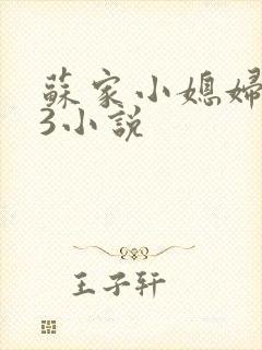 苏家小媳妇1V3小说