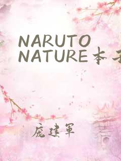NARUTO NATURE本子