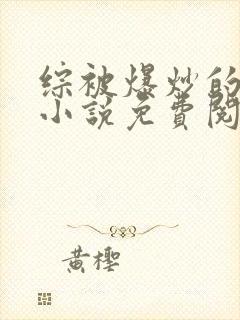 综被爆炒的日常小说免费阅读