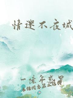 情迷不夜城