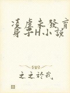 凌虐未发育的小身子H小说