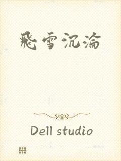 飞雪沉沦