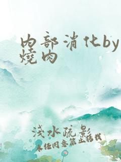 内部消化by红烧肉
