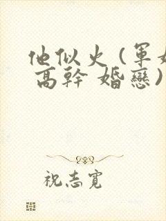 他似火 (军婚 高干 婚恋)