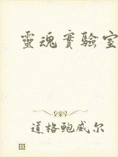 灵魂实验室