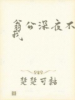 翁公深夜不停要我