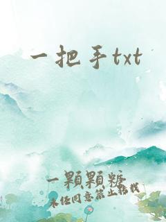 一把手txt