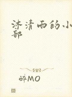沐清雨的小说全部