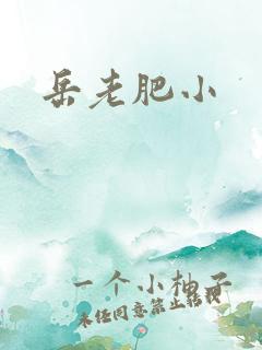 岳老肥小