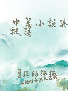 中篇小说集随风飘荡