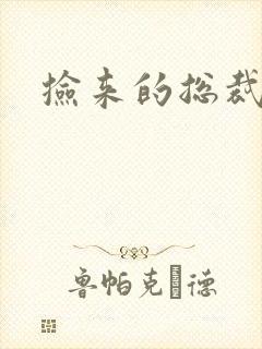 捡来的总裁儿子