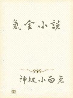氪金小说