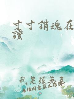 寸寸销魂在线阅读