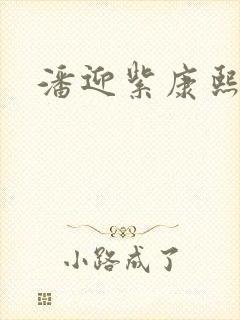 潘迎紫康熙来了