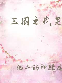 三国之我是华雄