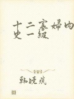 十二寡妇肉床艳史一级