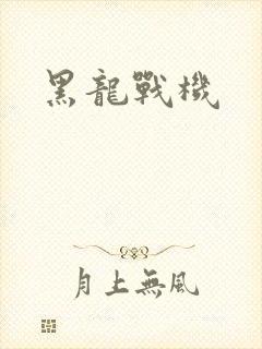 黑龙战机
