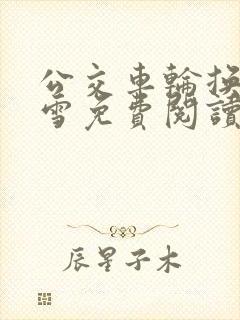 公交车轮换C程雪免费阅读