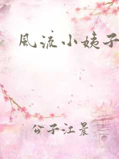 风流小姨子