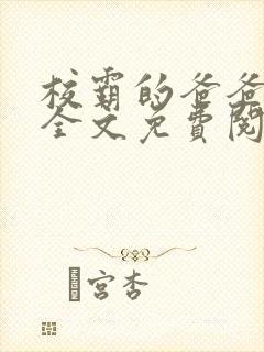 校霸的爸爸小说全文免费阅读