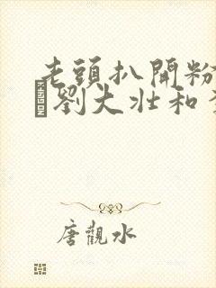 老头扒开粉嫩小泬刘大壮和李娇娇