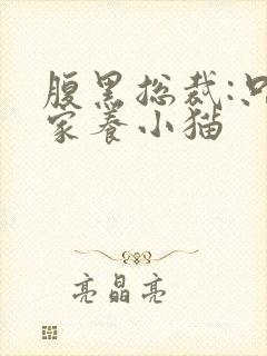 腹黑总裁:只疼家养小猫