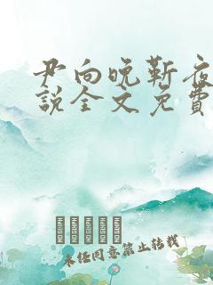 尹向晚靳夜擎小说全文免费阅读无弹窗