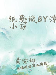 纸飞机BY潭石小说
