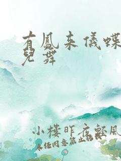 有凤来仪蝶儿蝶儿舞