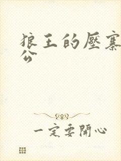 狼王的压寨小相公