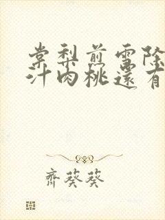 棠梨煎雪除了蜜汁肉桃还有什么肉