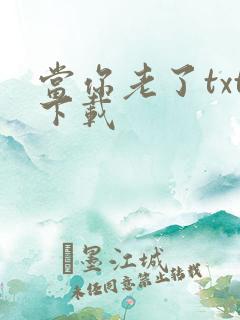 当你老了txt下载